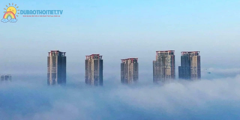 Ảnh hưởng của sương mù là gì?