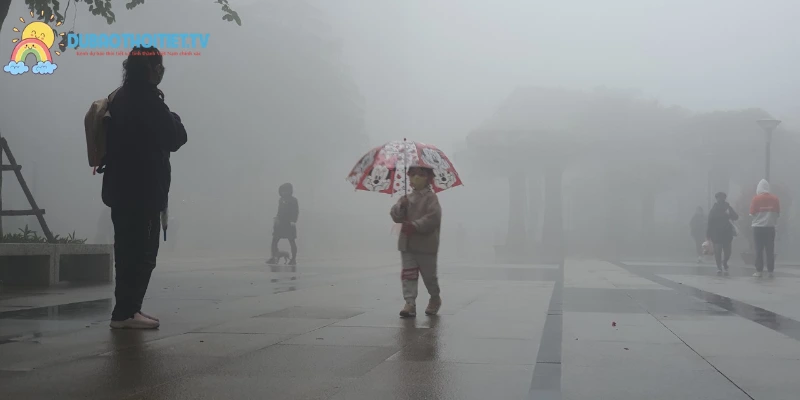 Cơ chế ngưng tụ hơi nước tạo thành mây thấp