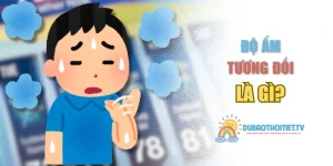 Độ Ẩm Tương Đối Là Gì? Tác Động Đến Các Mặt Đời Sống Như Nào