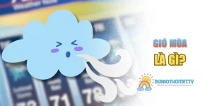 Giải Thích Gió Mùa Là Gì? Những Tác Động Đến Đời Sống