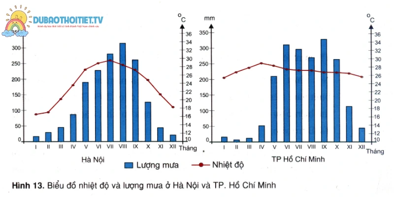 Hiểu rõ lượng mưa trung bình là gì để dự báo thời tiết chuẩn xác