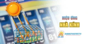 Hiệu Ứng Nhà Kính Là Gì? Điểm Nóng Tin Tức Hôm Nay