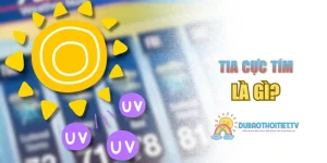 Tia Cực Tím Là Gì? Ứng Dụng Phổ Biến Và Cách Bảo Vệ Sức Khỏe