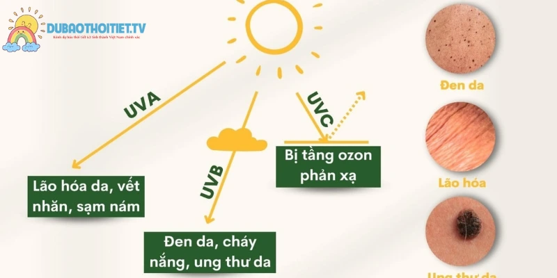 Tìm hiểu chỉ số tia cực tím là gì qua 5 thang đo