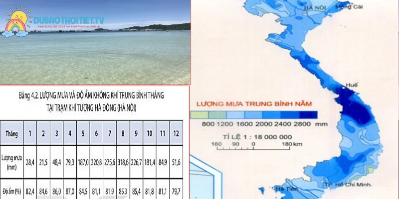 Tìm hiểu yếu tố ảnh hưởng đến lượng mưa trung bình