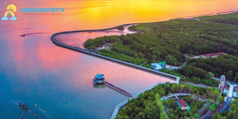 Cà Mau có địa hình chủ yếu là đồng bằng thấp