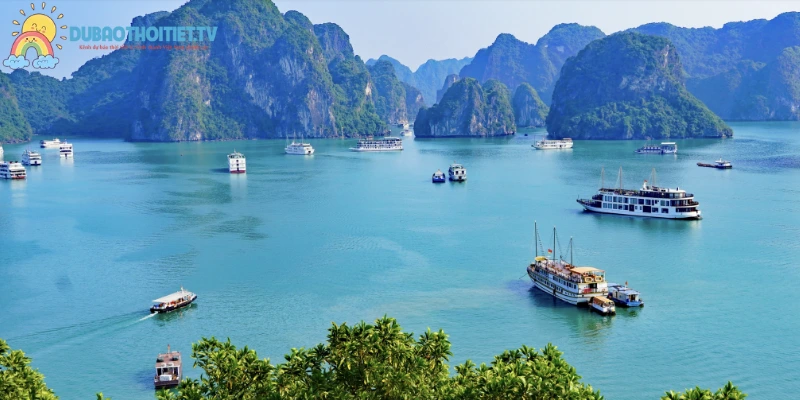 Hải Phòng là thành phố cảng năng động có tiềm năng phát triển lớn