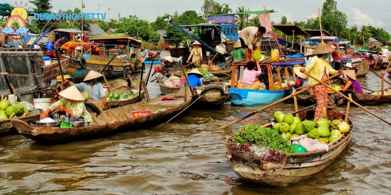 Miệt vườn trái cây Tiền Giang trù phú số 1 ĐB SCL