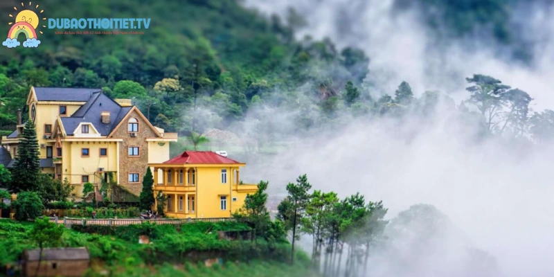Tam Đảo, Vĩnh Phúc là Đà Lạt thu nhỏ giữa lòng miền Bắc
