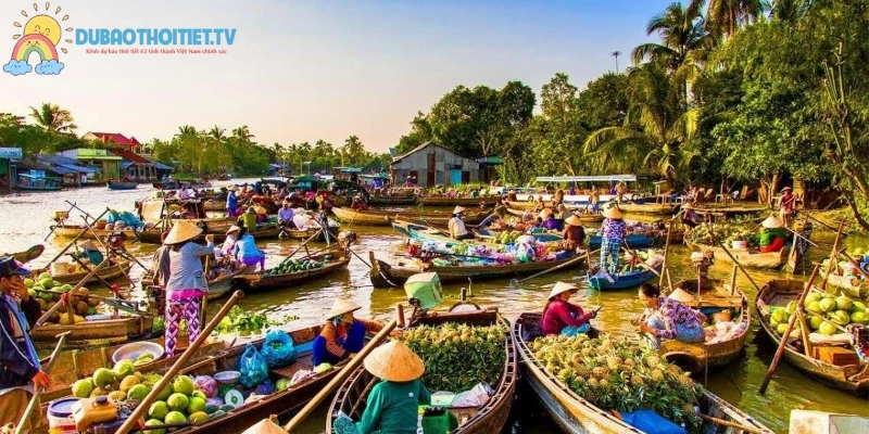 Vĩnh Long sở hữu cù lao xanh mát, sông rạch chằng chịt