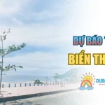 Biển Thiên Cầm – Khám Phá Vẻ Đẹp Hoang Sơ Của Hà Tĩnh