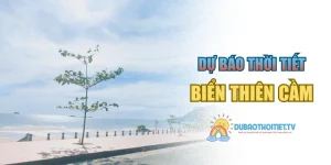 Biển Thiên Cầm – Khám Phá Vẻ Đẹp Hoang Sơ Của Hà Tĩnh
