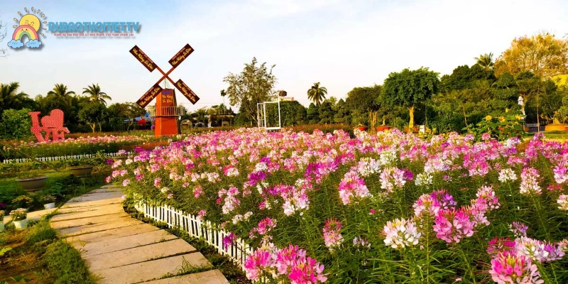 Các hoạt động giải trí & khám phá văn hóa địa phương đặc sắc
