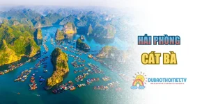 Cát Bà – Thiên Đường Du Lịch Biển Đảo Với Vẻ Đẹp Hoang Sơ