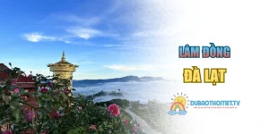 Đà Lạt – Thiên Đường Nghỉ Dưỡng Giữa Đại Ngàn Xanh Thẳm
