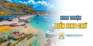 Biển Ninh Chữ: Trải Nghiệm Trọn Vẹn Từ A Đến Z