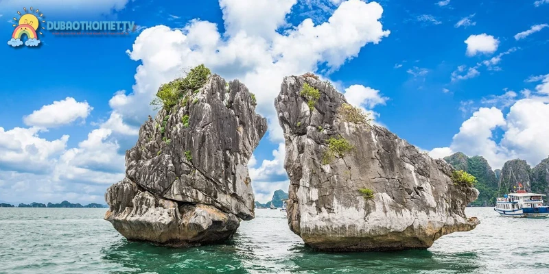 Hành trình du thuyền trên Vịnh Hạ Long cao cấp