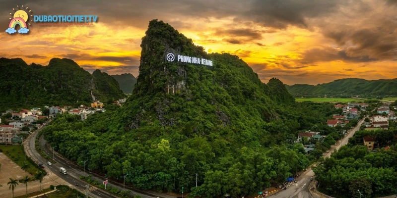 Hệ sinh thái phong phú với 800+ loài thực vật quý