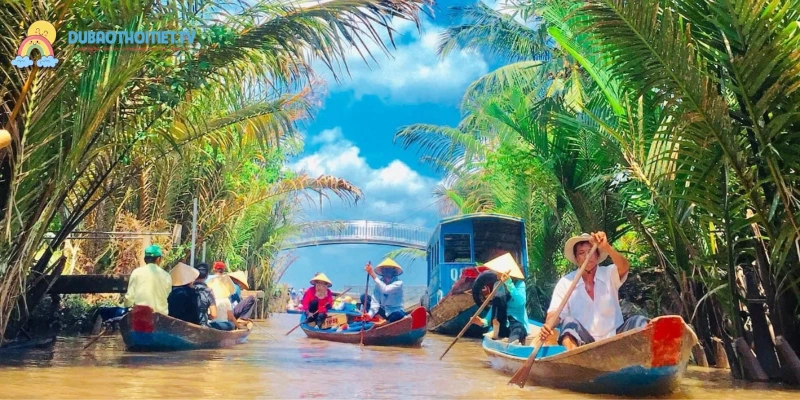 Hình thành qua quá trình bồi đắp phù sa và ảnh hưởng thủy triều