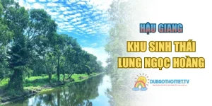 Khu Sinh Thái Lung Ngọc Hoàng – Lá Phổi Xanh Miền Tây