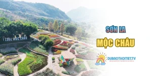 Mộc Châu – Cao Nguyên Xanh Hấp Dẫn Giữa Núi Rừng Tây Bắc
