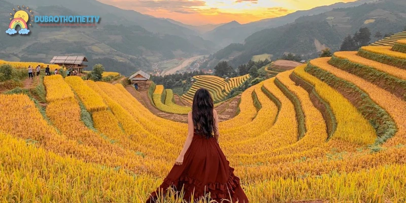 Mù Cang Chải huyện vùng cao nằm ở phía tây Yên Bái