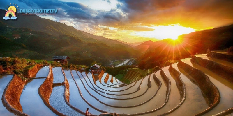 Mù Cang Chải tháng 9 là mùa lúa chín đẹp nhất
