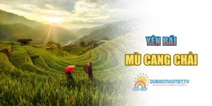 Mù Cang Chải – Tuyệt Tác Nghệ Thuật Ruộng Bậc Thang Tây Bắc