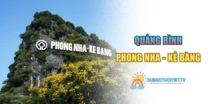 Phong Nha Kẻ Bàng: Di Sản Thiên Nhiên Đạt Công Nhận UNESCO