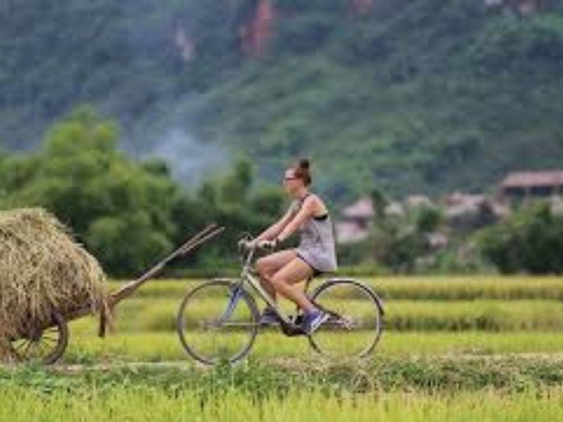 Những lưu ý cần biết khi du lịch Quỳ Châu, Nghệ An