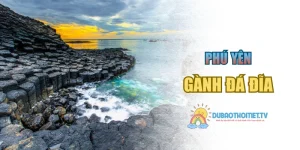 Gành Đá Đĩa: Cảnh Quan Kỳ Vĩ Và Những Điều Thú Vị