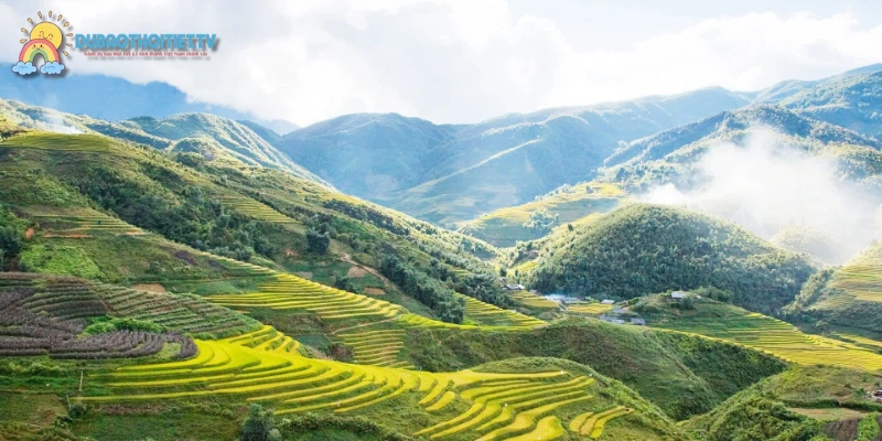 Toàn bộ vẻ đẹp Sa Pa từ thiên nhiên hùng vĩ đến bản sắc dân tộc