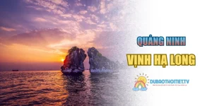 Vịnh Hạ Long – Vịnh Đẹp Nhất Thế Giới Được UNESCO Công Nhận