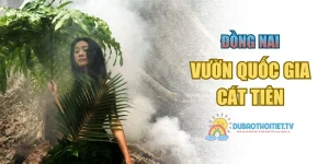 Vườn Quốc Gia Cát Tiên – Viên Ngọc Xanh Giữa Đại Ngàn