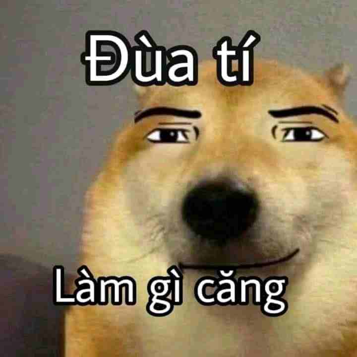 Ảnh Meme 13