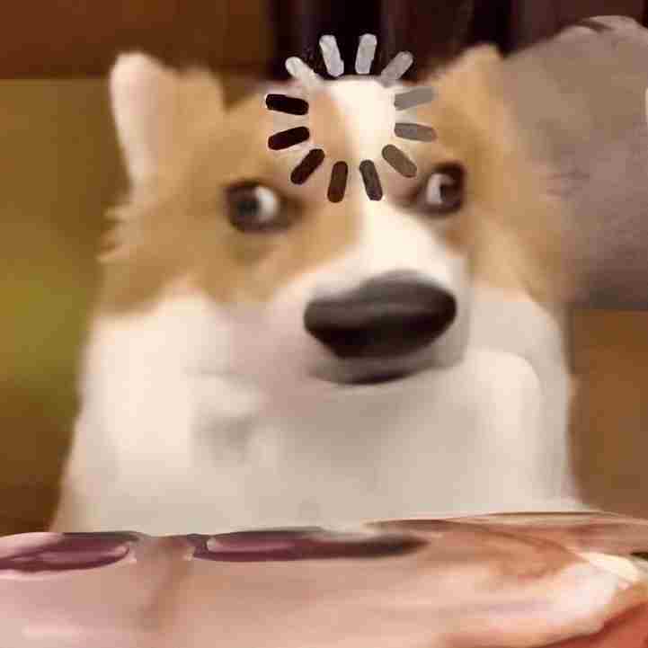 Ảnh meme bựa 10