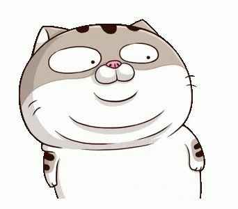 Ảnh Mèo Bựa Cute 8