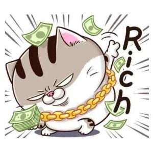 Tổng Hợp 89+ Ảnh Mèo Bựa Cute Khiến Bạn Cười Không Ngớt