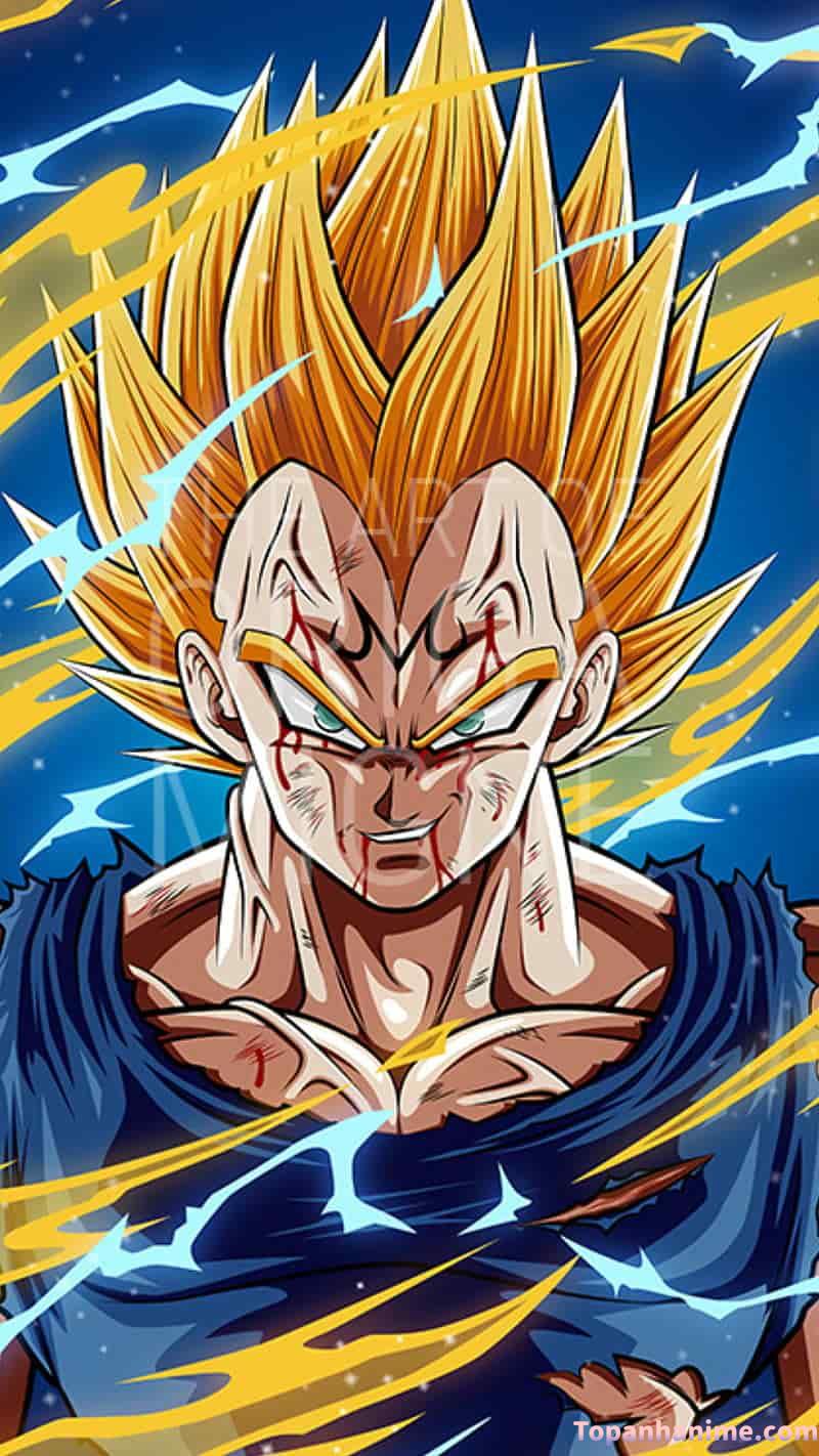 Mẫu Ảnh Vegeta 5