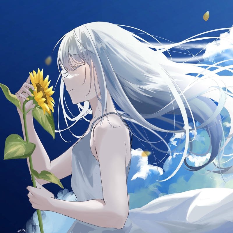 avatar hoa hướng dương 3