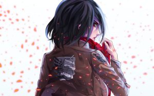 119+ Ảnh Mikasa Ngầu Tuyệt Đỉnh Dành Cho Fan Attack on Titan