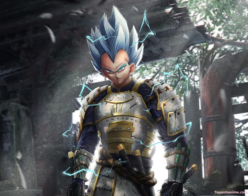 Mẫu Ảnh Vegeta 10