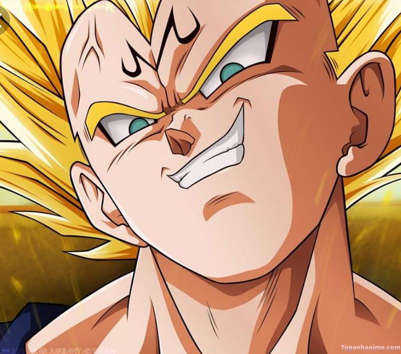 Mẫu Ảnh Vegeta 20