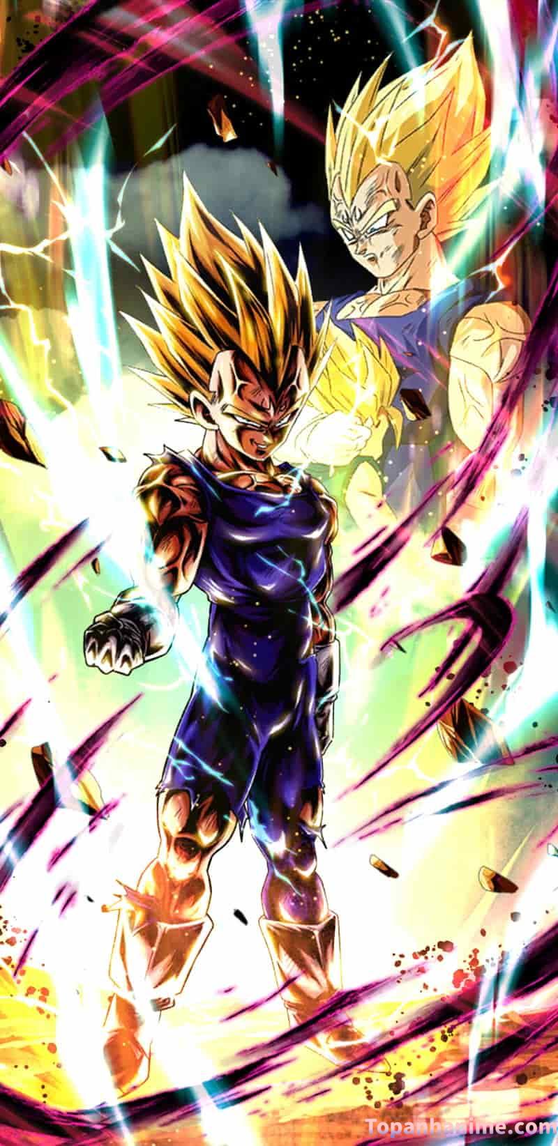 Mẫu Ảnh Vegeta 21