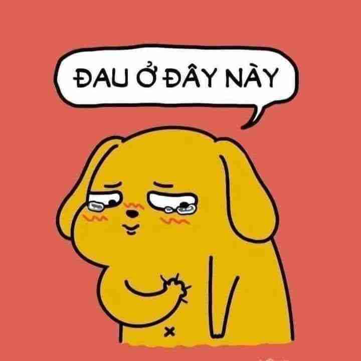 Meme an ủi 16