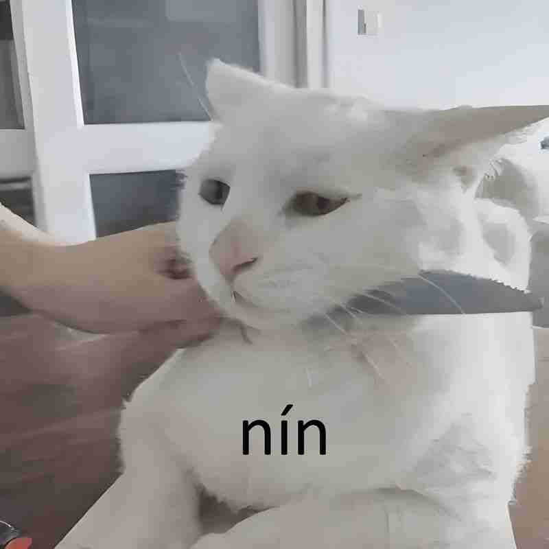 Meme Buồn 12
