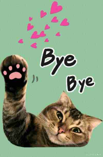 Meme bye 14