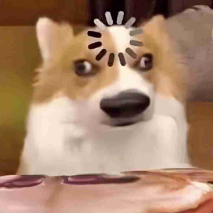 Meme Chó 2