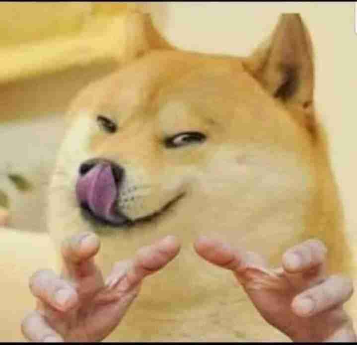 Meme Chó 8