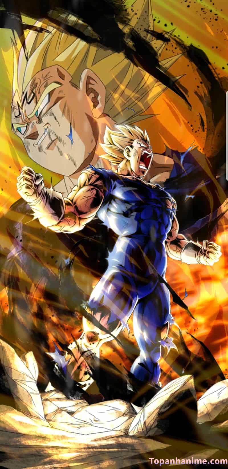 Mẫu Ảnh Vegeta 30